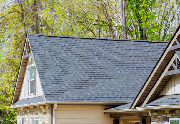 Professional Roofing Service  in Vernon Hills, IL